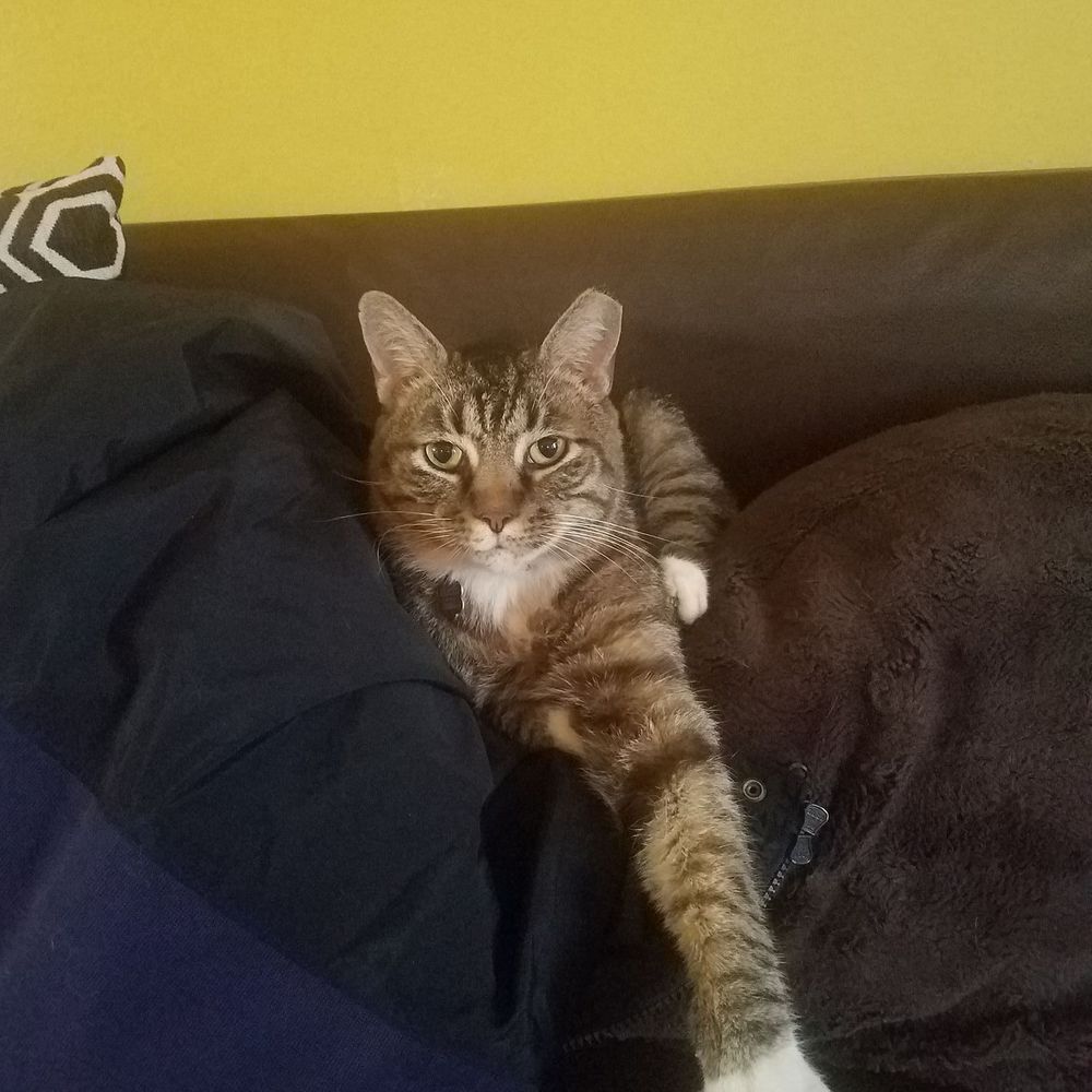 Meet your Posher, Marvin